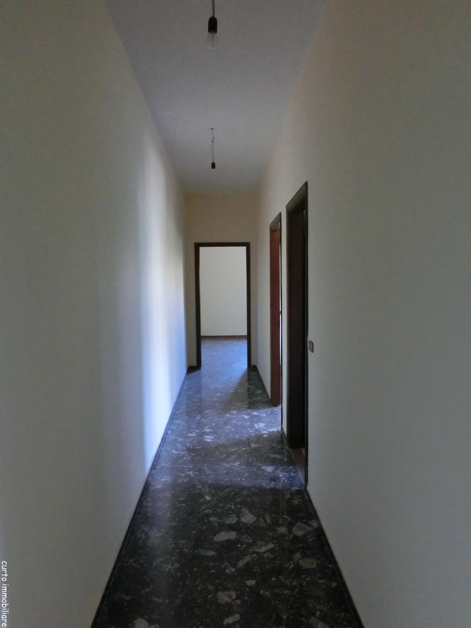 CIMG2795