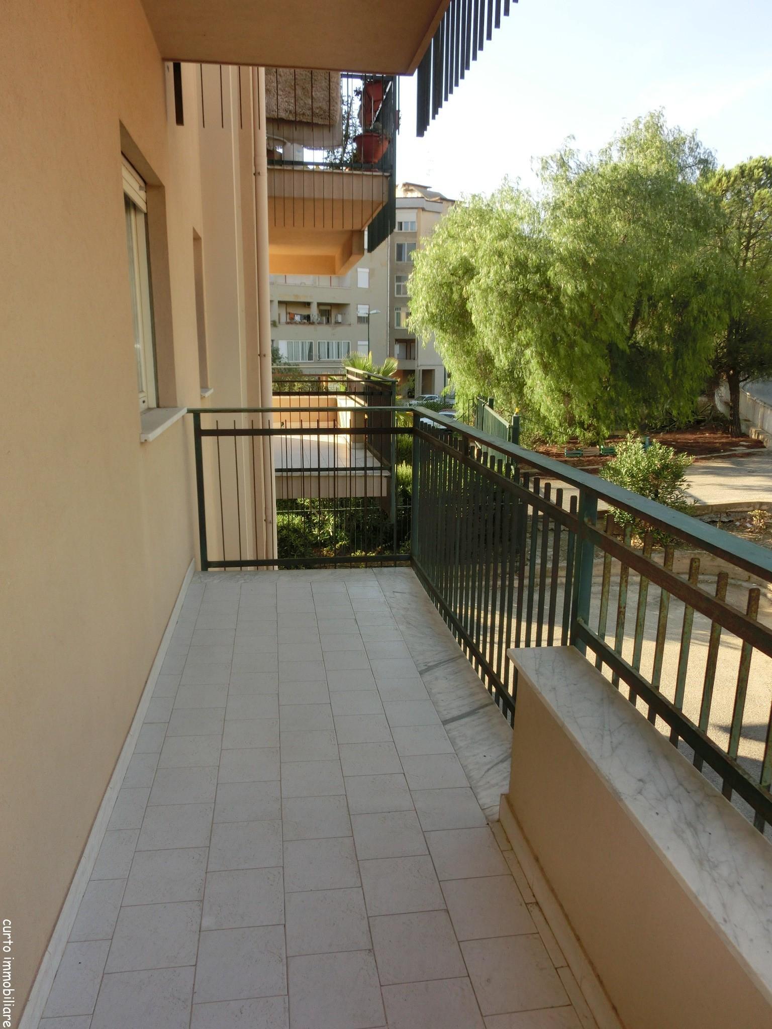 CIMG5979