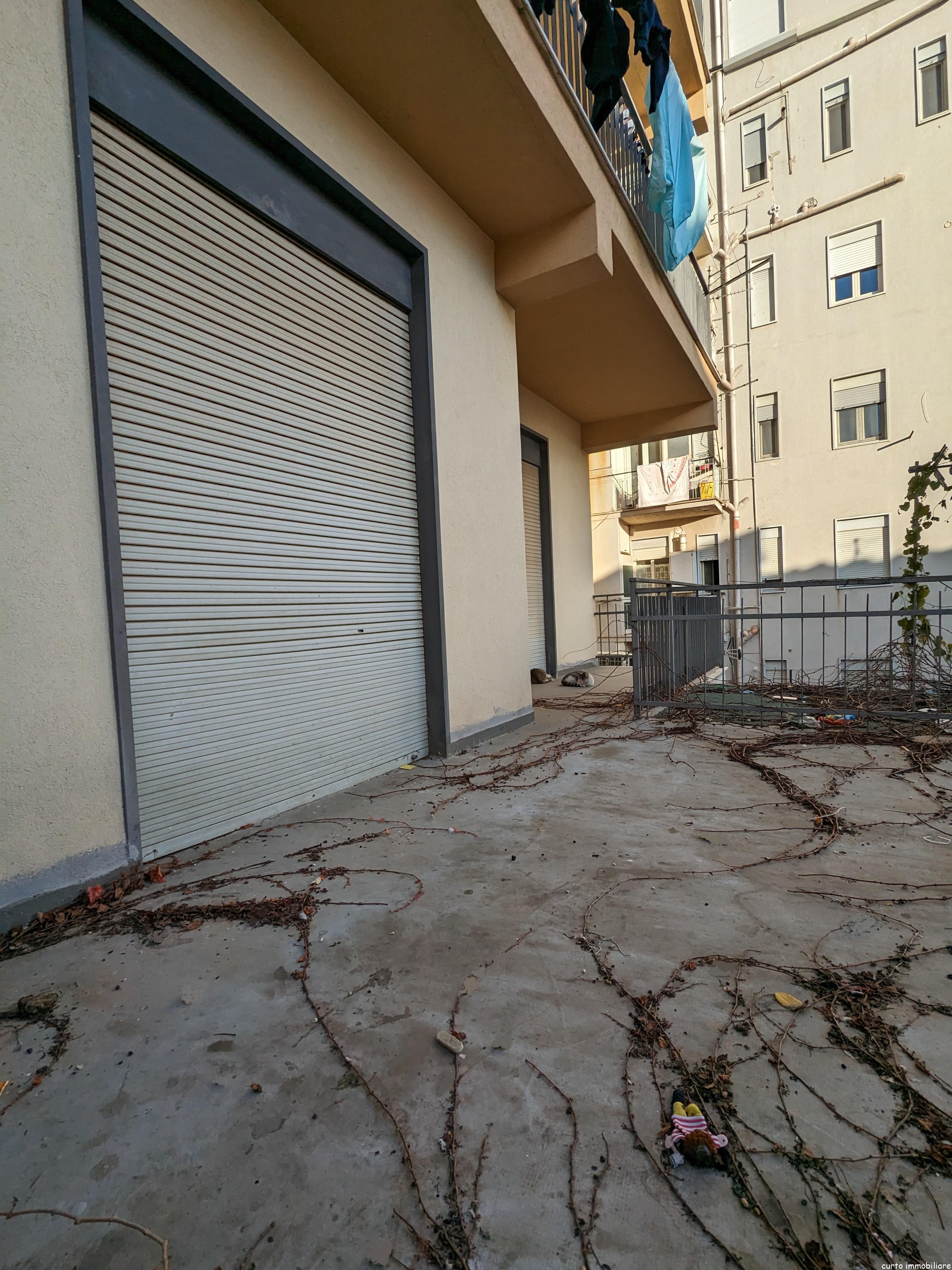 PXL_20240129_151803612