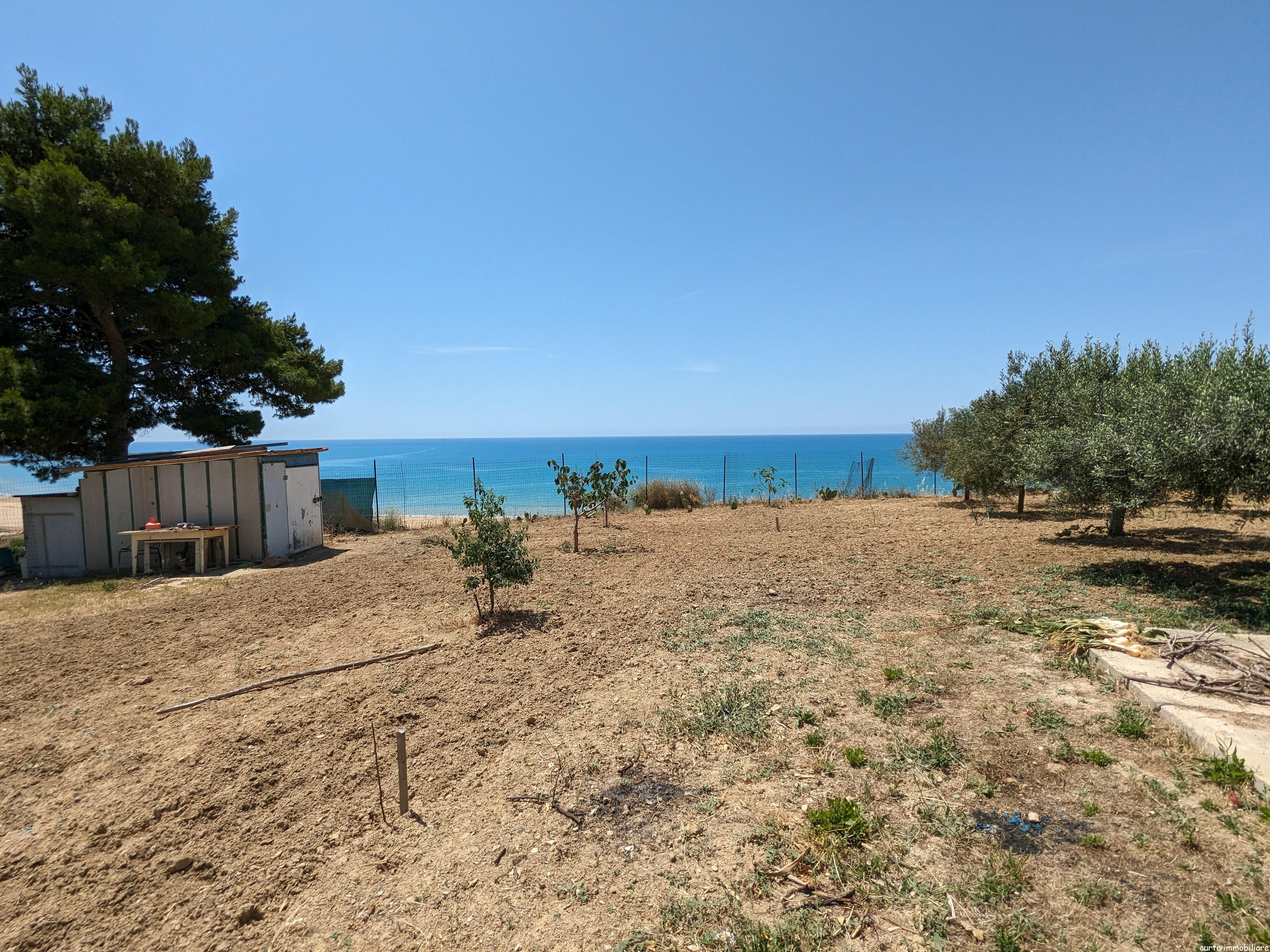 PXL_20240528_094654976