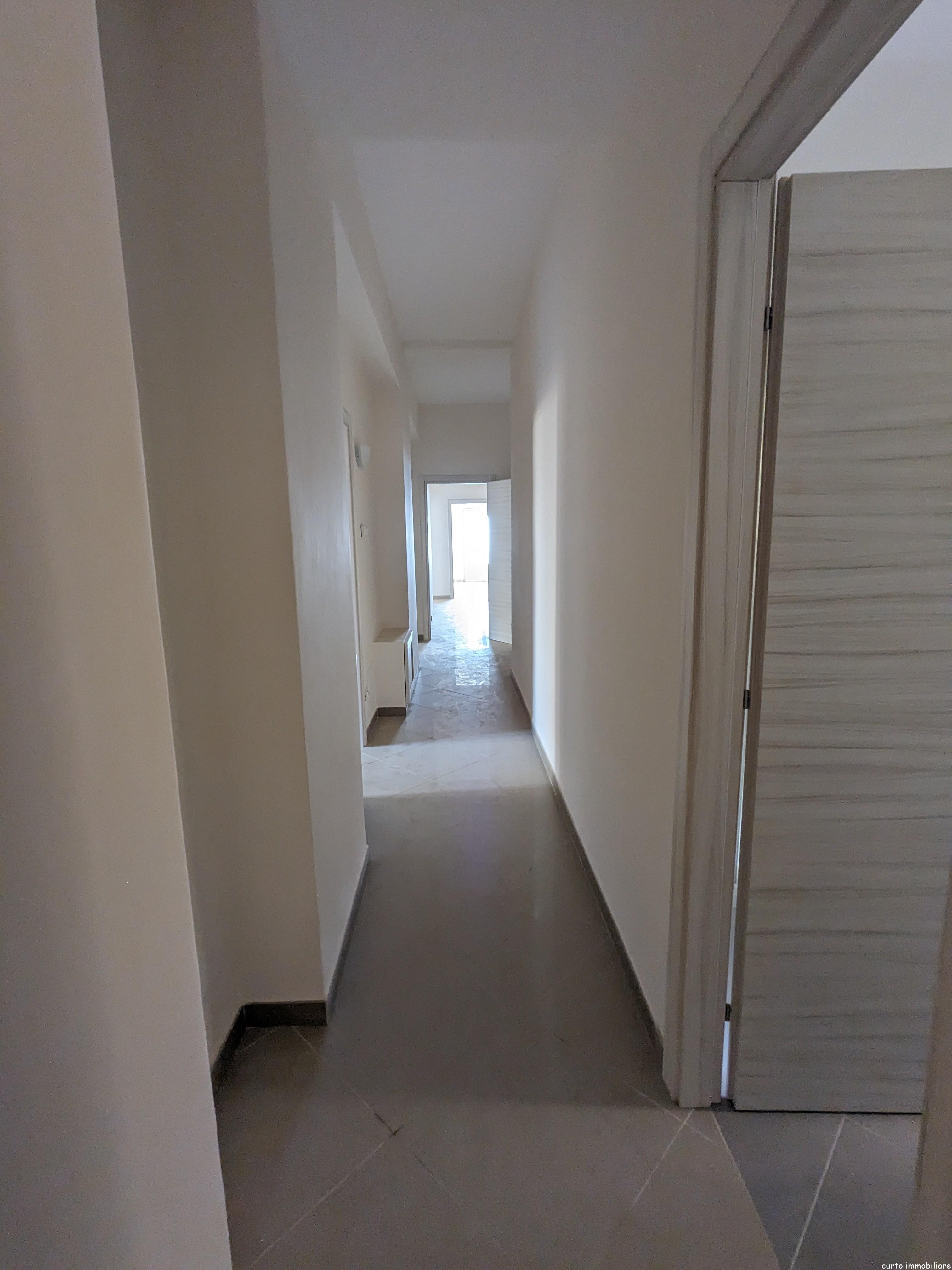 PXL_20240618_150051895